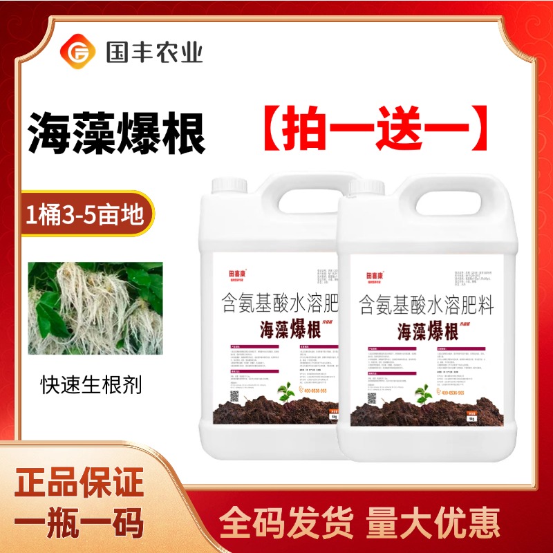 海藻爆根